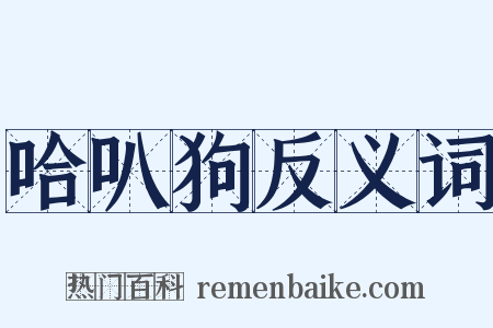 哈叭狗反义词是什么意思的图片